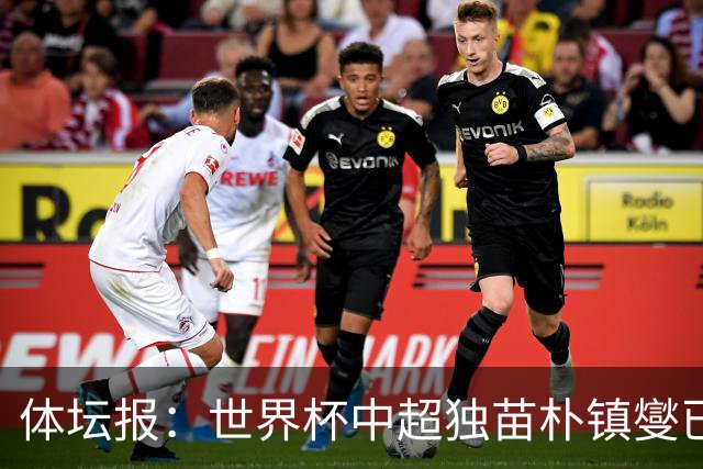 体坛报：世界杯中超独苗朴镇燮已回浙江队，增强球队中后场硬度